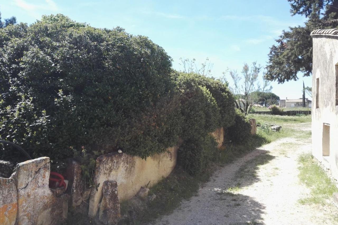 Mas De 